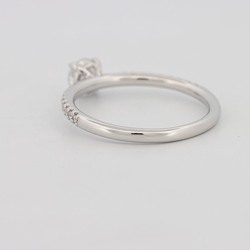 0.35 CT Round Cut Pavé Solitaire (LG) - ZIZOV DIAMONDS