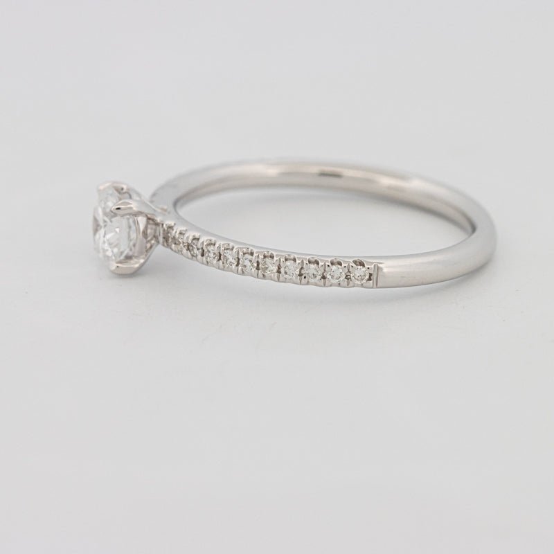 0.35 CT Round Cut Pavé Solitaire (LG) - ZIZOV DIAMONDS