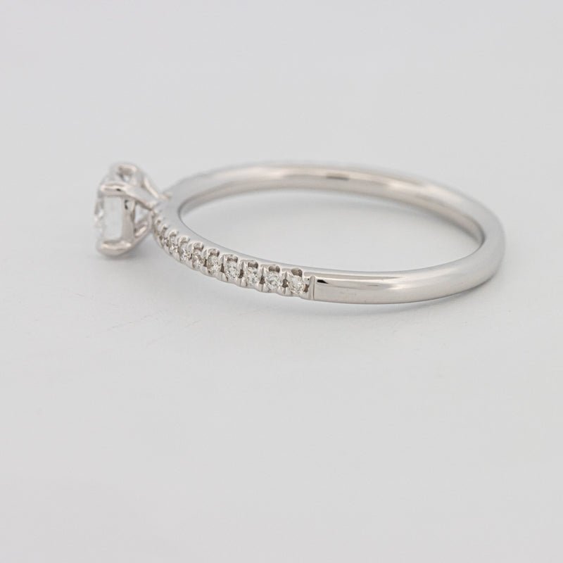 0.35 CT Round Cut Pavé Solitaire (LG) - ZIZOV DIAMONDS