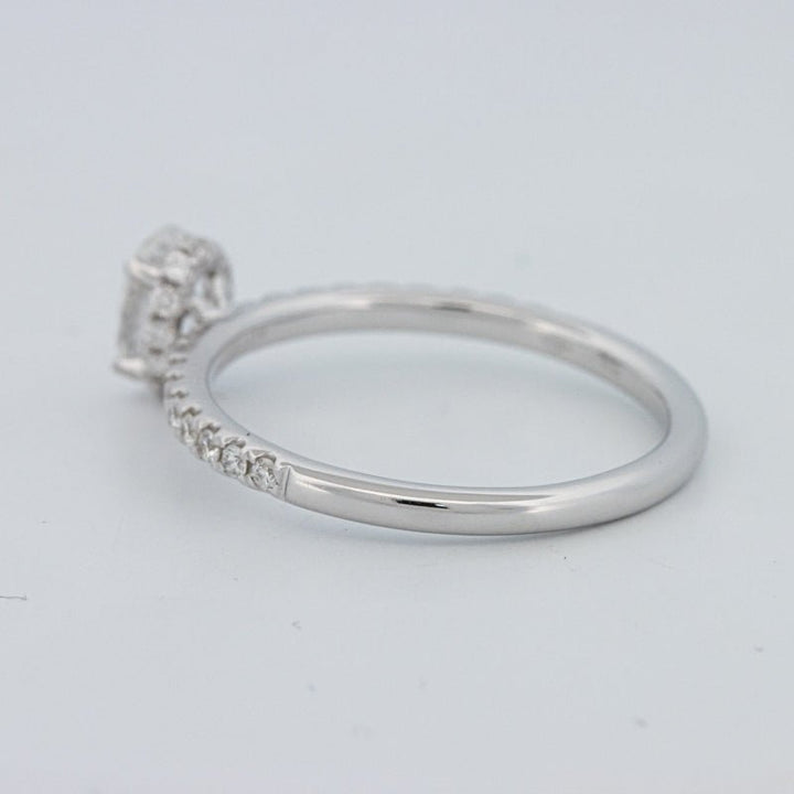 0.50 CT Oval Cut Under - Halo Pavé Solitaire (LG) - ZIZOV DIAMONDS