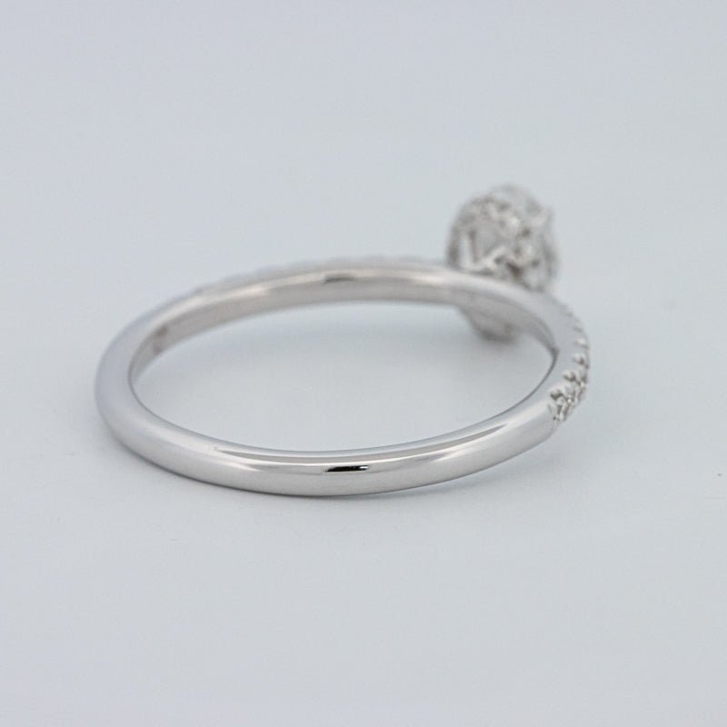0.50 CT Oval Cut Under - Halo Pavé Solitaire (LG) - ZIZOV DIAMONDS