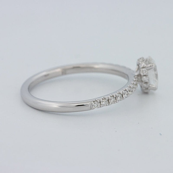 0.50 CT Oval Cut Under - Halo Pavé Solitaire (LG) - ZIZOV DIAMONDS