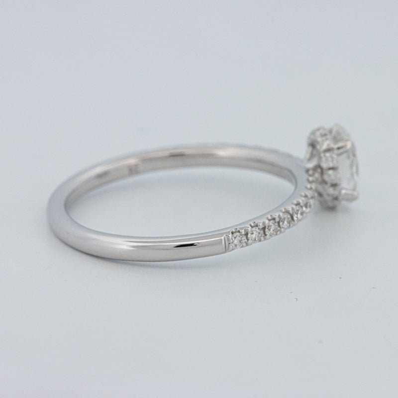 0.50 CT Oval Cut Under - Halo Pavé Solitaire (LG) - ZIZOV DIAMONDS