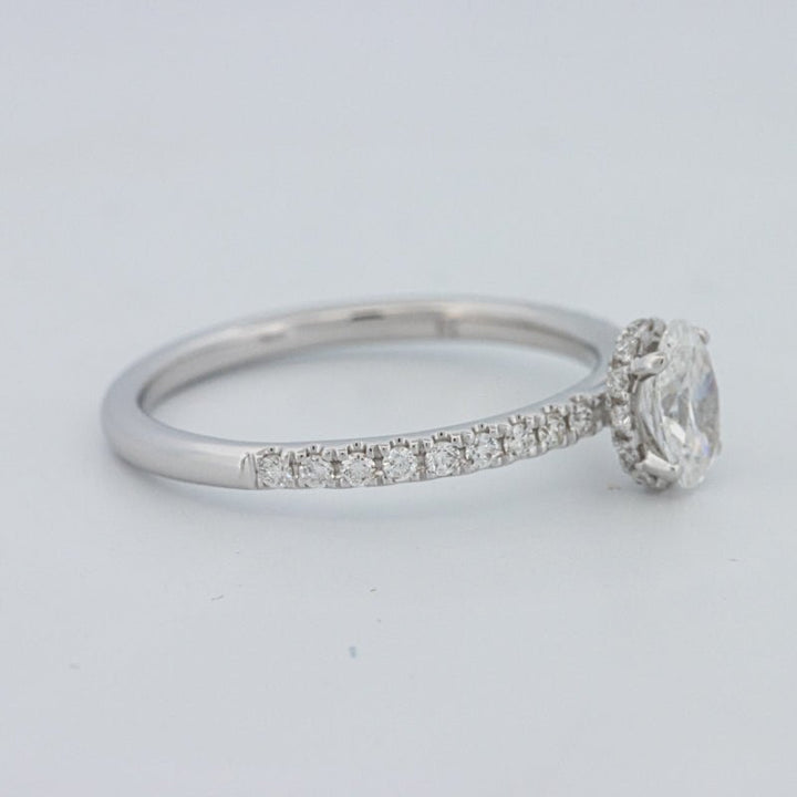 0.50 CT Oval Cut Under - Halo Pavé Solitaire (LG) - ZIZOV DIAMONDS