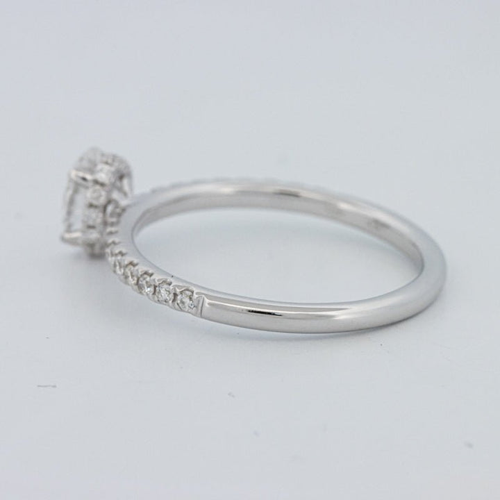 0.50 CT Oval Cut Under - Halo Pavé Solitaire (LG) - ZIZOV DIAMONDS