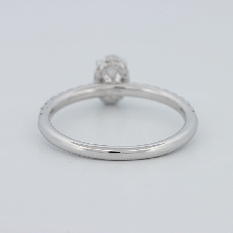 0.50 CT Oval Cut Under - Halo Pavé Solitaire (LG) - ZIZOV DIAMONDS