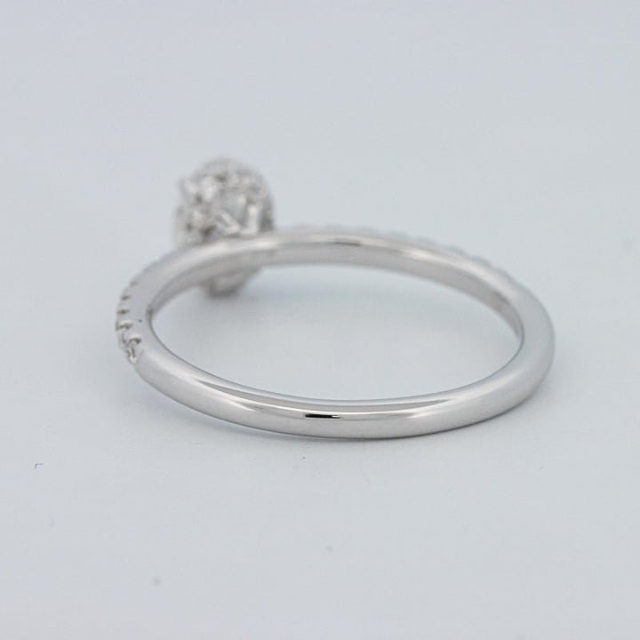 0.50 CT Oval Cut Under - Halo Pavé Solitaire (LG) - ZIZOV DIAMONDS