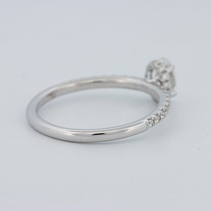 0.50 CT Oval Cut Under - Halo Pavé Solitaire (LG) - ZIZOV DIAMONDS