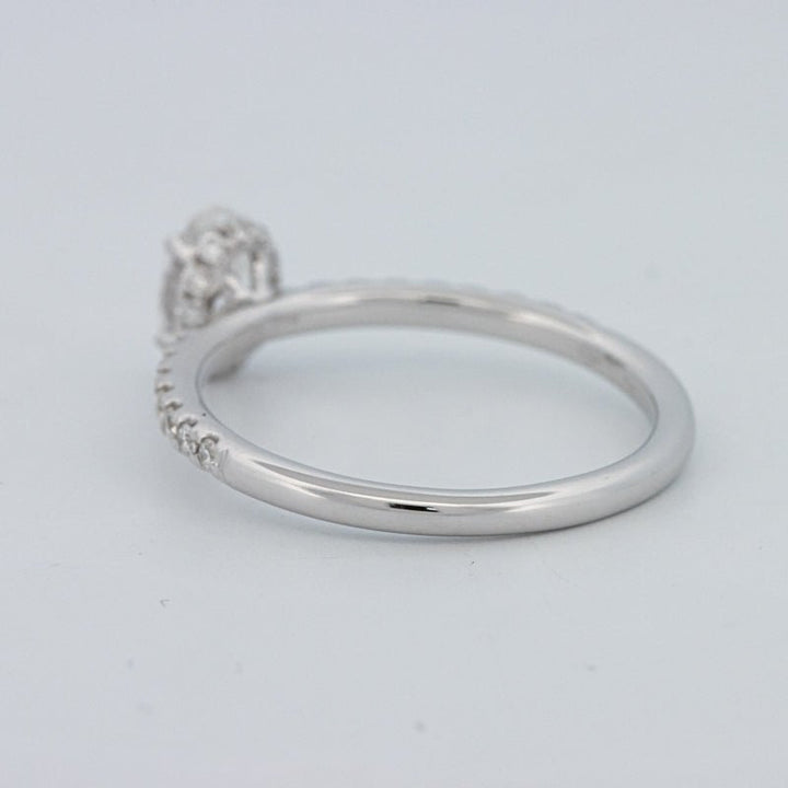 0.50 CT Oval Cut Under - Halo Pavé Solitaire (LG) - ZIZOV DIAMONDS