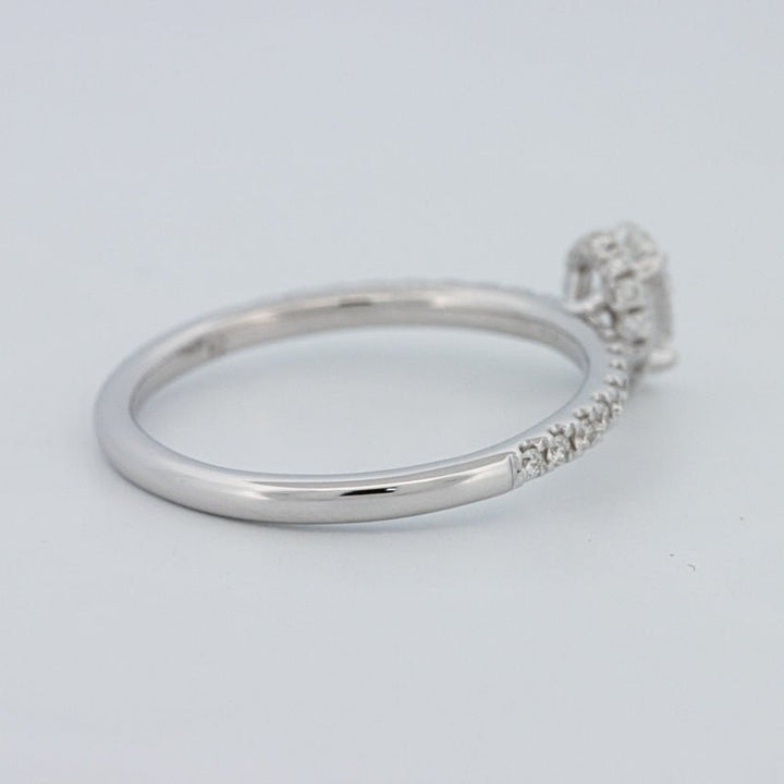 0.50 CT Oval Cut Under - Halo Pavé Solitaire (LG) - ZIZOV DIAMONDS