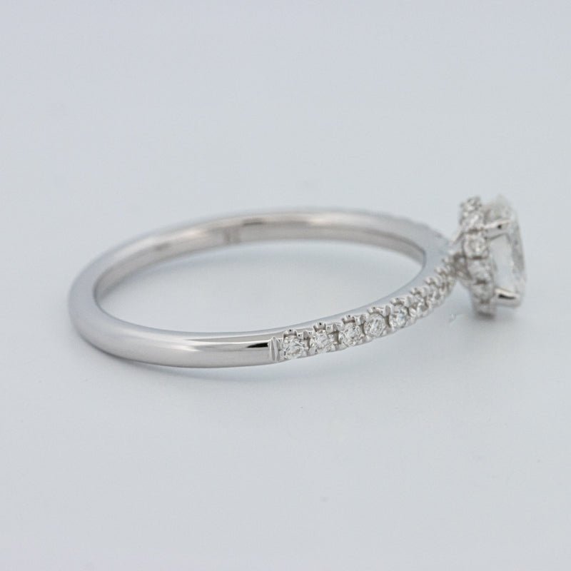 0.50 CT Oval Cut Under - Halo Pavé Solitaire (LG) - ZIZOV DIAMONDS