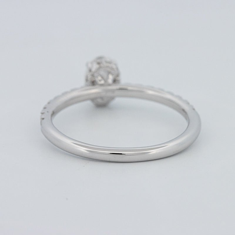 0.50 CT Oval Cut Under - Halo Pavé Solitaire (LG) - ZIZOV DIAMONDS