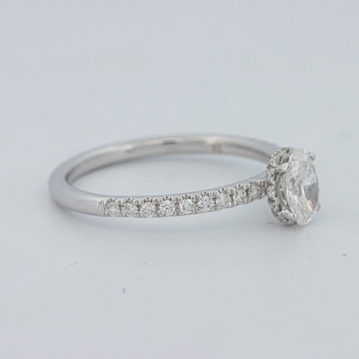 0.50 CT Oval Cut Under - Halo Pavé Solitaire (LG) - ZIZOV DIAMONDS