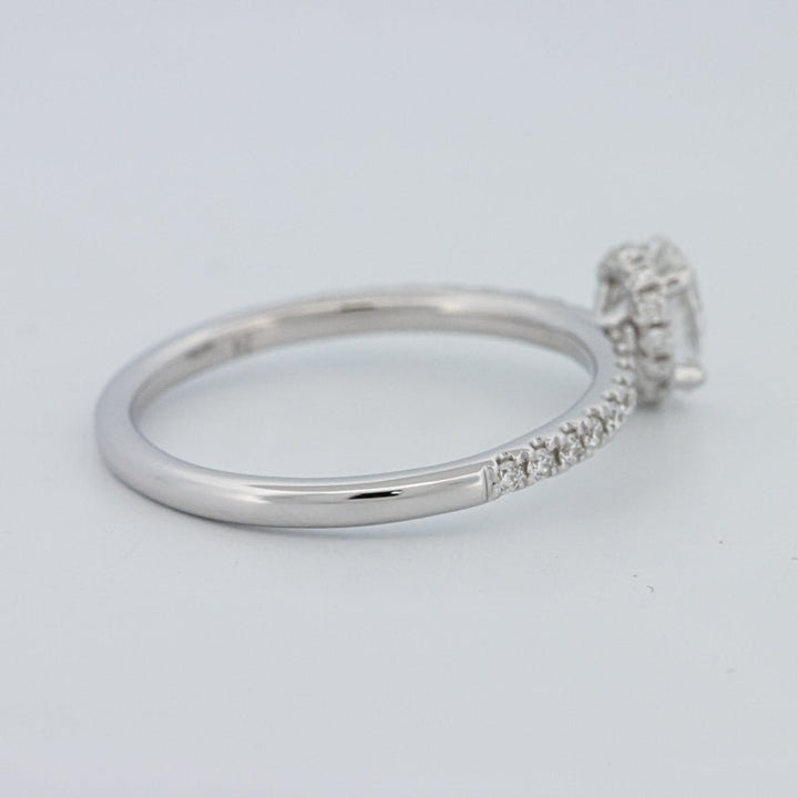 0.50 CT Oval Cut Under - Halo Pavé Solitaire (LG) - ZIZOV DIAMONDS