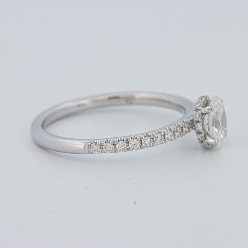 0.50 CT Oval Cut Under - Halo Pavé Solitaire (LG) - ZIZOV DIAMONDS