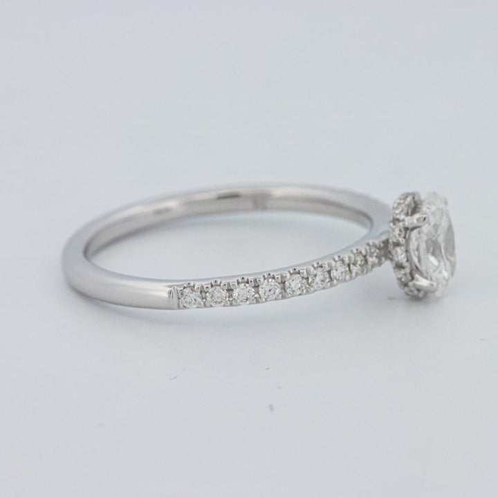 0.50 CT Oval Cut Under - Halo Pavé Solitaire (LG) - ZIZOV DIAMONDS