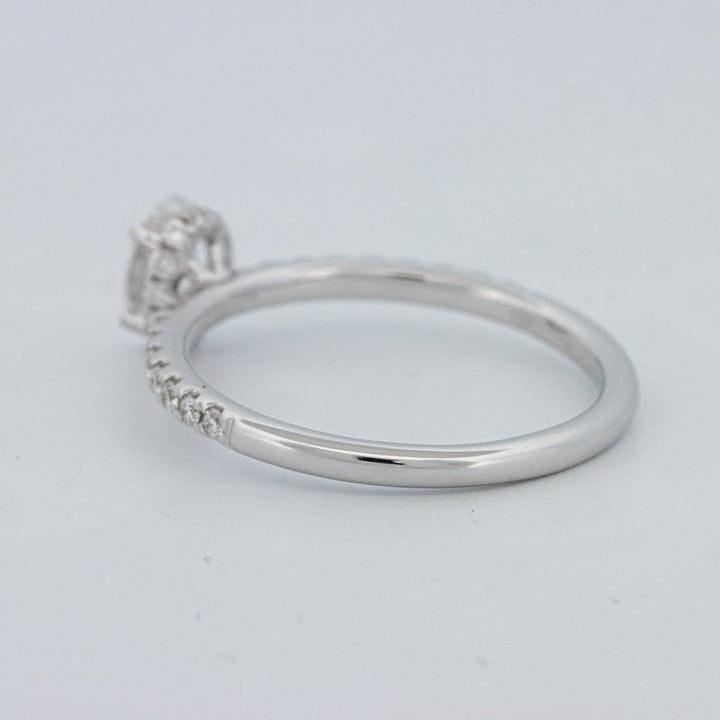 0.50 CT Oval Cut Under - Halo Pavé Solitaire (LG) - ZIZOV DIAMONDS