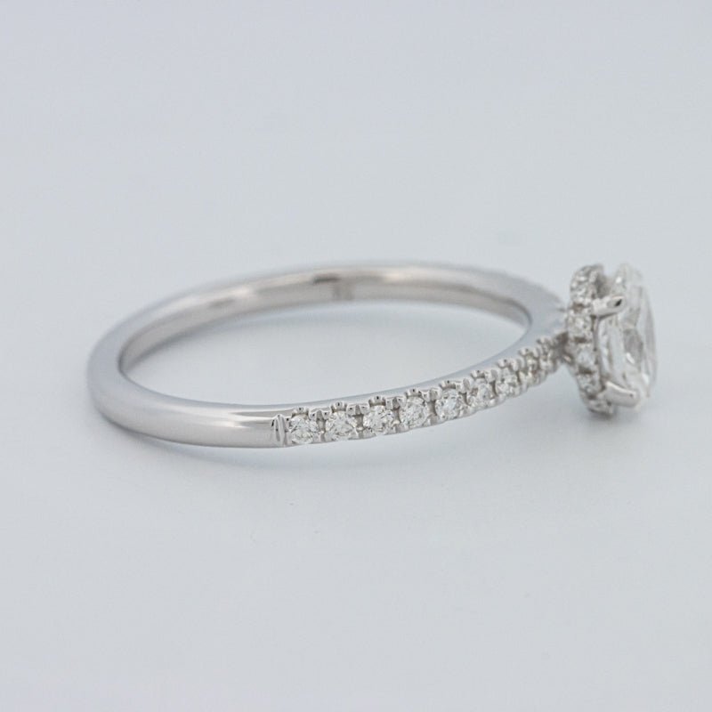 0.50 CT Oval Cut Under - Halo Pavé Solitaire (LG) - ZIZOV DIAMONDS