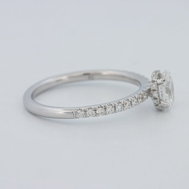 0.50 CT Oval Cut Under - Halo Pavé Solitaire (LG) - ZIZOV DIAMONDS