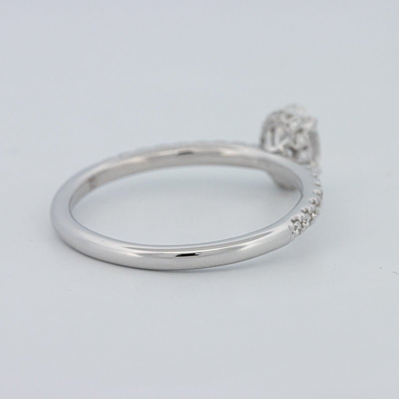 0.50 CT Oval Cut Under - Halo Pavé Solitaire (LG) - ZIZOV DIAMONDS