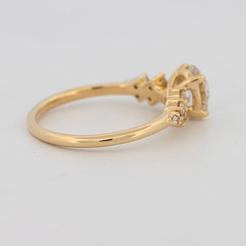 1 CT "Ariella" Solitaire (LG) - ZIZOV DIAMONDS