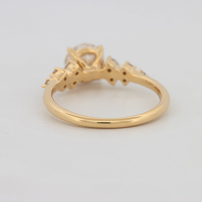 1 CT "Ariella" Solitaire (LG) - ZIZOV DIAMONDS