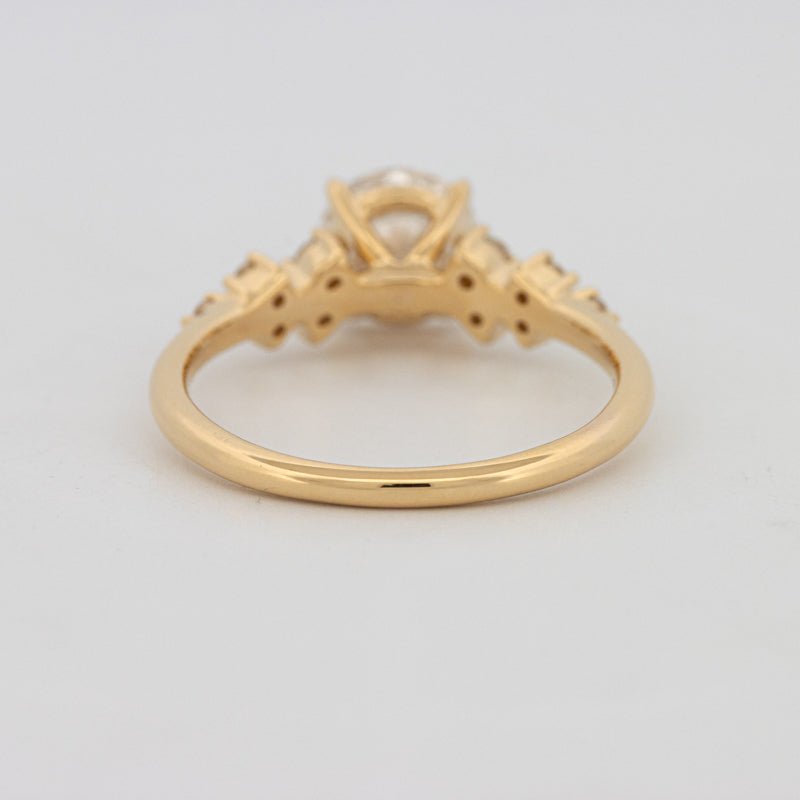 1 CT "Ariella" Solitaire (LG) - ZIZOV DIAMONDS