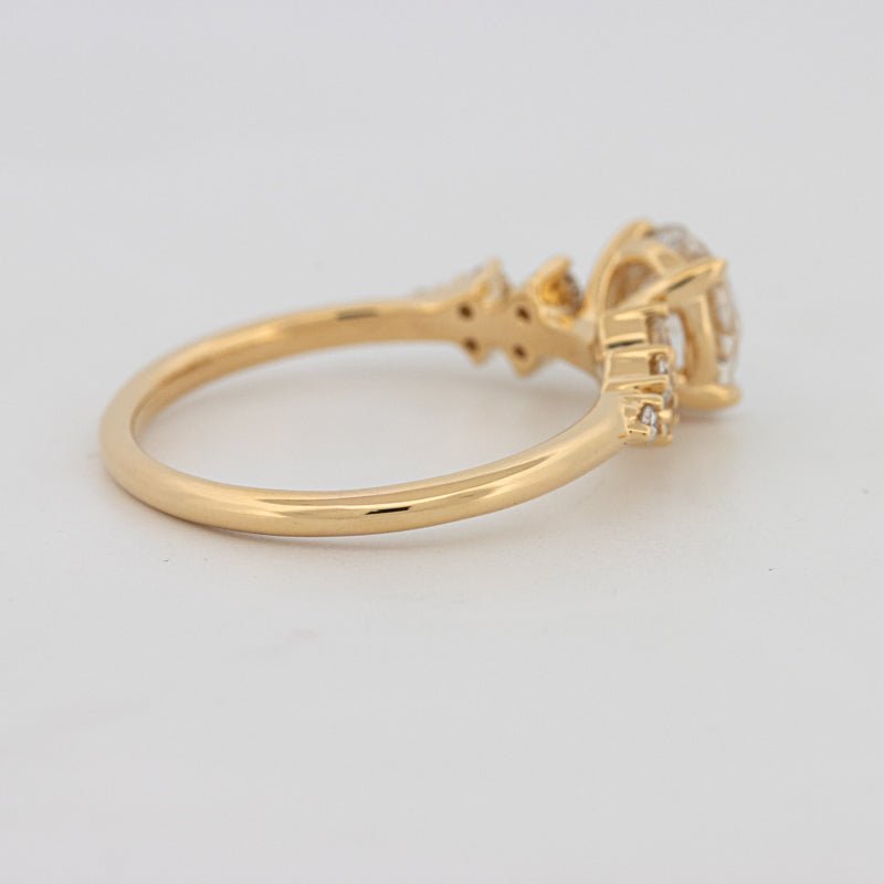 1 CT "Ariella" Solitaire (LG) - ZIZOV DIAMONDS