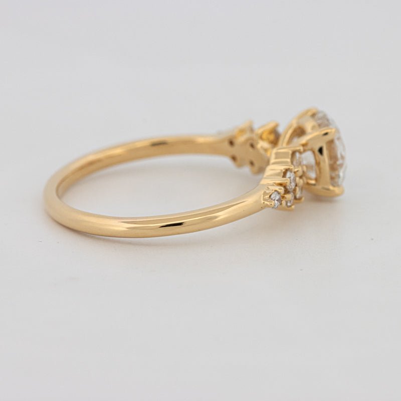 1 CT "Ariella" Solitaire (LG) - ZIZOV DIAMONDS