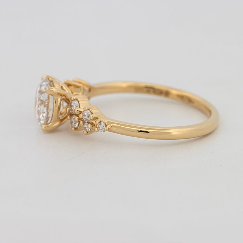 1 CT "Ariella" Solitaire (LG) - ZIZOV DIAMONDS