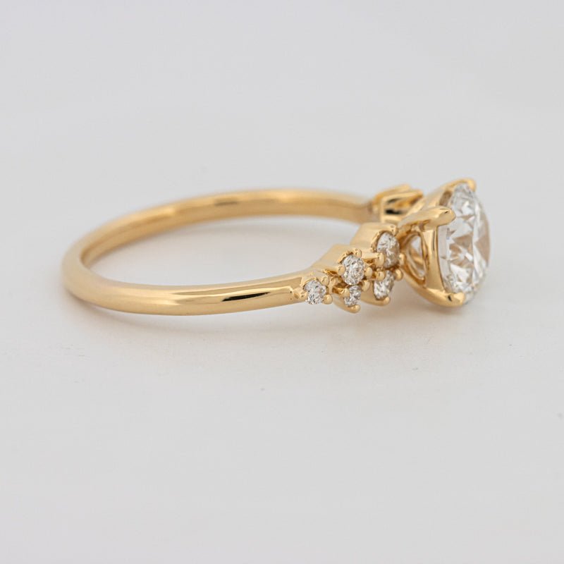 1 CT "Ariella" Solitaire (LG) - ZIZOV DIAMONDS