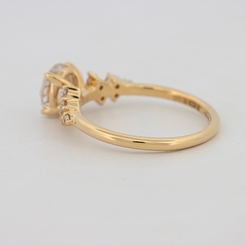 1 CT "Ariella" Solitaire (LG) - ZIZOV DIAMONDS