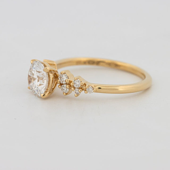 1 CT "Ariella" Solitaire (LG) - ZIZOV DIAMONDS
