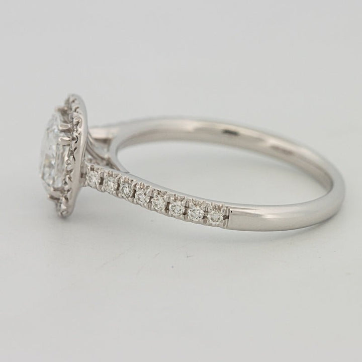 1 CT Cushion Cut Halo Pavé Solitaire (LG) - ZIZOV DIAMONDS