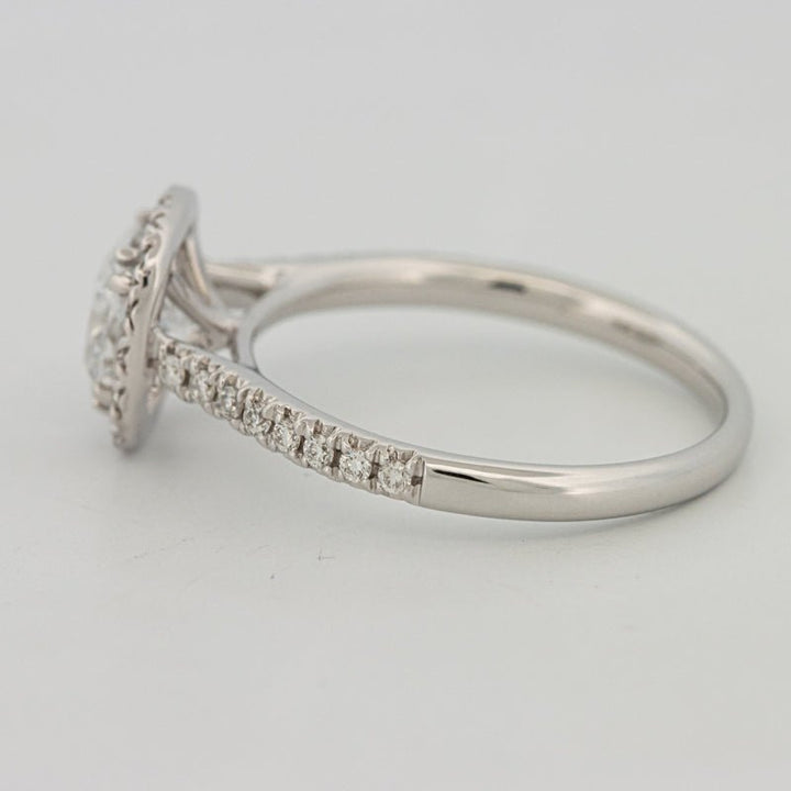 1 CT Cushion Cut Halo Pavé Solitaire (LG) - ZIZOV DIAMONDS