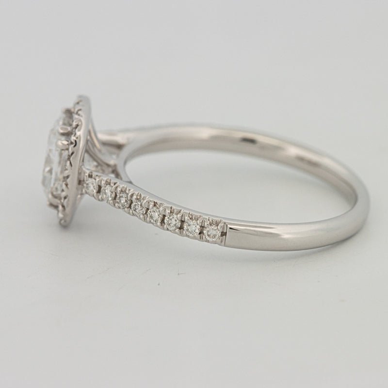 1 CT Cushion Cut Halo Pavé Solitaire (LG) - ZIZOV DIAMONDS