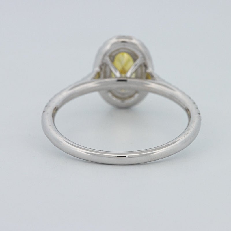 1 CT Fancy Yellow Oval Halo Pavé Solitaire (LG) - ZIZOV DIAMONDS