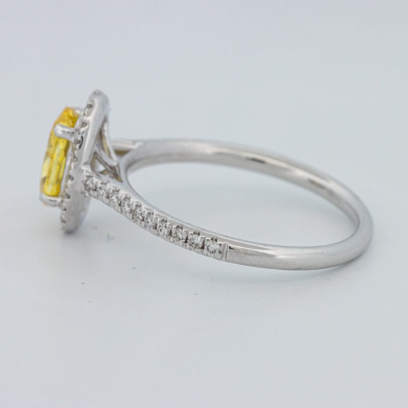 1 CT Fancy Yellow Oval Halo Pavé Solitaire (LG) - ZIZOV DIAMONDS