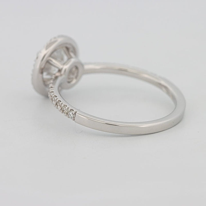 1 CT "Melanie" Halo Pavé Solitaire (LG) - ZIZOV DIAMONDS