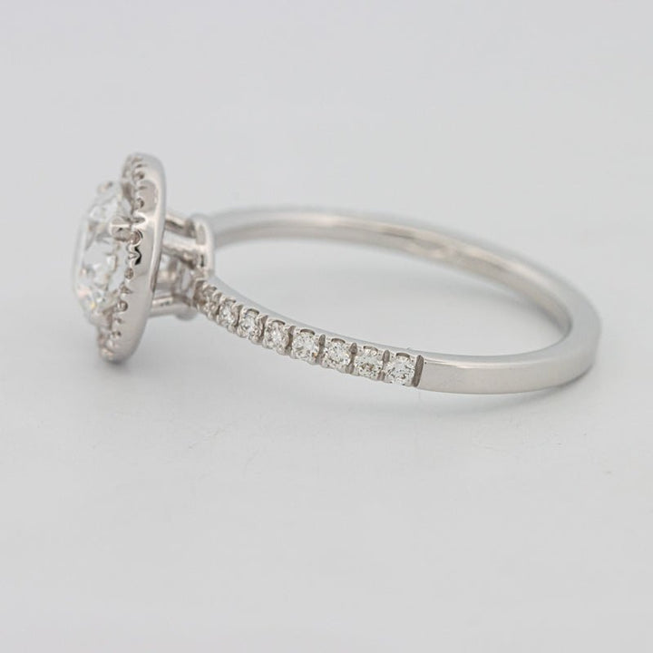 1 CT "Melanie" Halo Pavé Solitaire (LG) - ZIZOV DIAMONDS