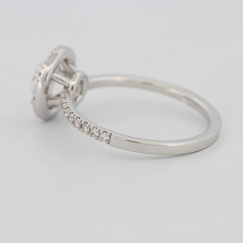 1 CT "Melanie" Halo Pavé Solitaire (LG) - ZIZOV DIAMONDS