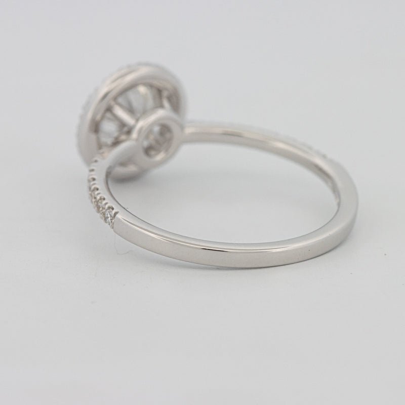 1 CT "Melanie" Halo Pavé Solitaire (LG) - ZIZOV DIAMONDS