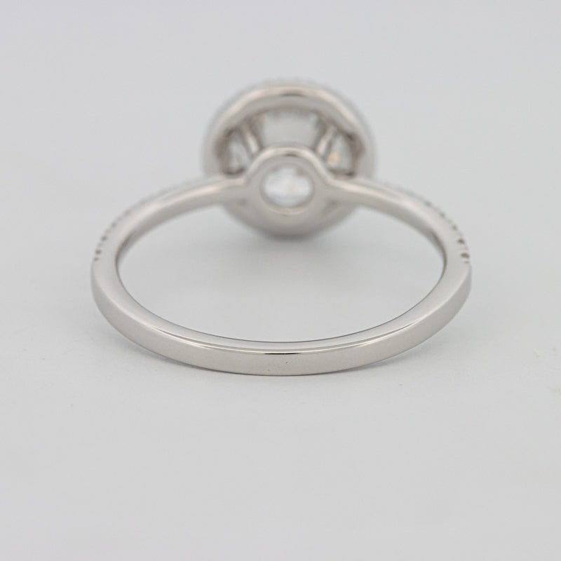 1 CT "Melanie" Halo Pavé Solitaire (LG) - ZIZOV DIAMONDS