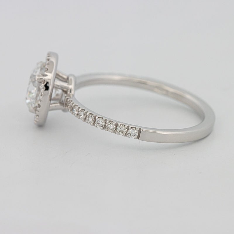 1 CT "Melanie" Halo Pavé Solitaire (LG) - ZIZOV DIAMONDS