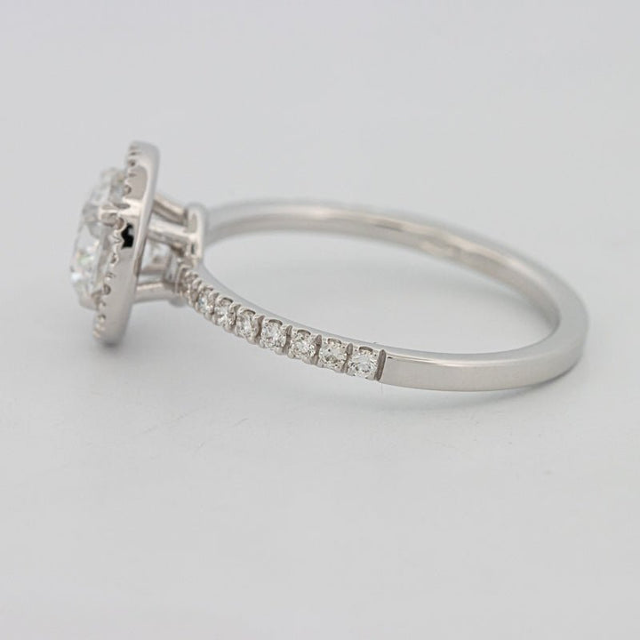 1 CT "Melanie" Halo Pavé Solitaire (LG) - ZIZOV DIAMONDS