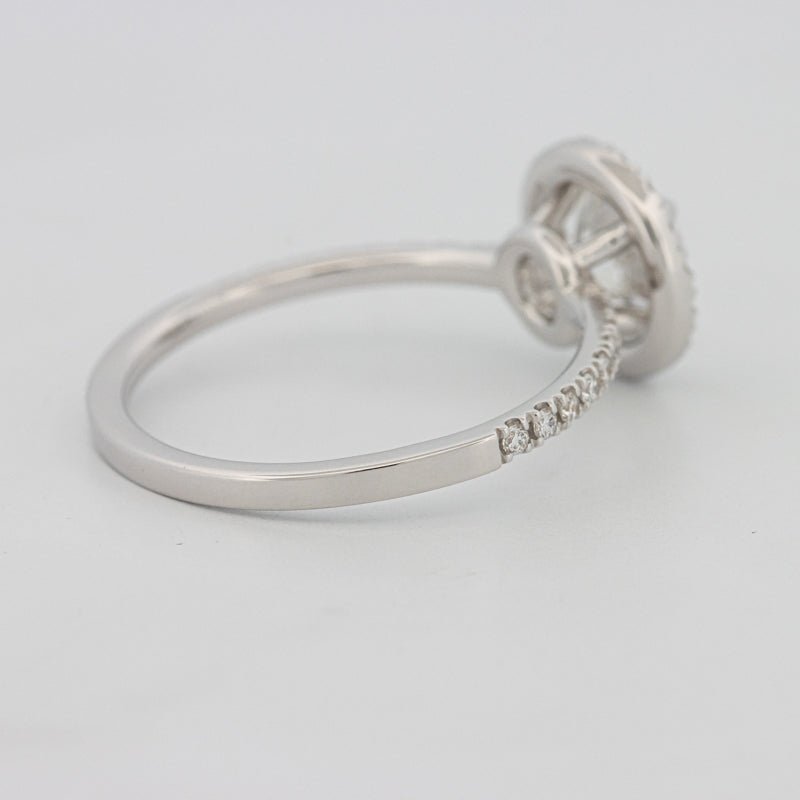 1 CT "Melanie" Halo Pavé Solitaire (LG) - ZIZOV DIAMONDS