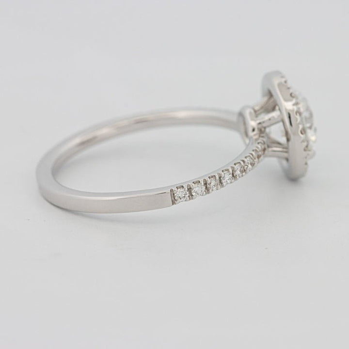 1 CT "Melanie" Halo Pavé Solitaire (LG) - ZIZOV DIAMONDS