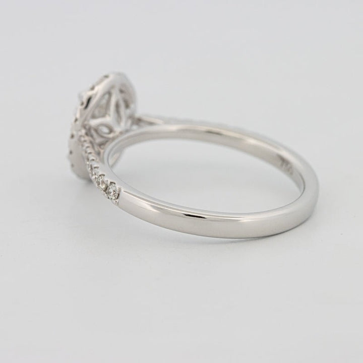 1 CT Oval Cut Halo Pavé Solitaire (LG) - ZIZOV DIAMONDS