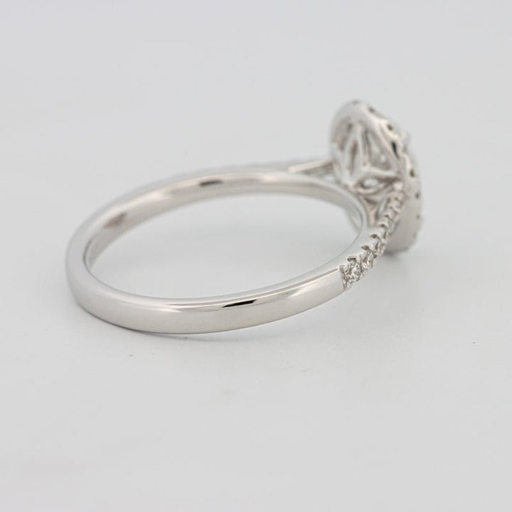 1 CT Oval Cut Halo Pavé Solitaire (LG) - ZIZOV DIAMONDS