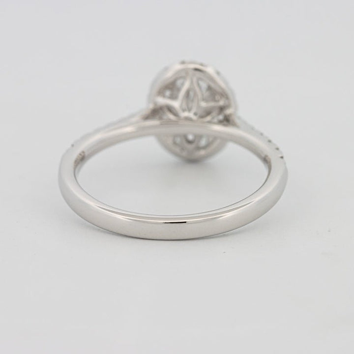 1 CT Oval Cut Halo Pavé Solitaire (LG) - ZIZOV DIAMONDS